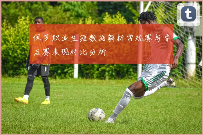 保罗职业生涯数据解析常规赛与季后赛表现对比分析