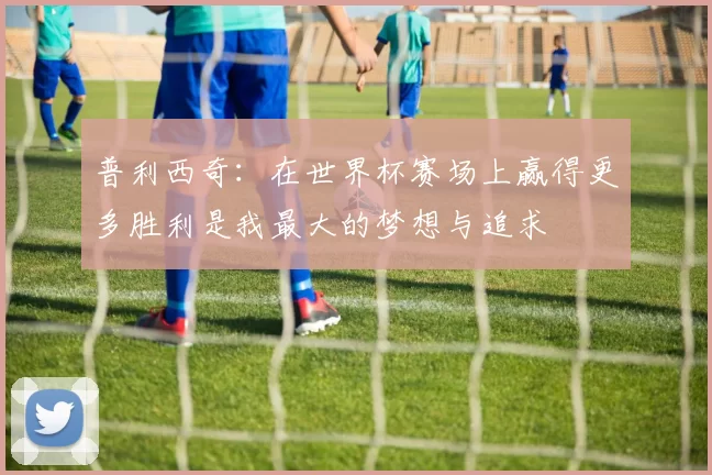 普利西奇：在世界杯赛场上赢得更多胜利是我最大的梦想与追求